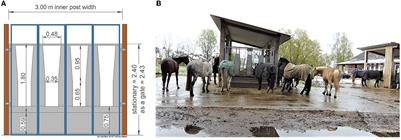 Which animal-to-feeding-place ratio at time-controlled hay racks is animal appropriate? Preliminary analysis of stress responses of horses